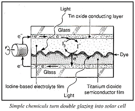New Scientist. Science news and long reads from expert journalists, covering developments in science, technology, health and the environment on the website and the magazine.
