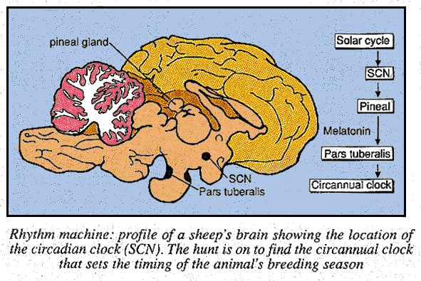New Scientist. Science news and long reads from expert journalists, covering developments in science, technology, health and the environment on the website and the magazine.