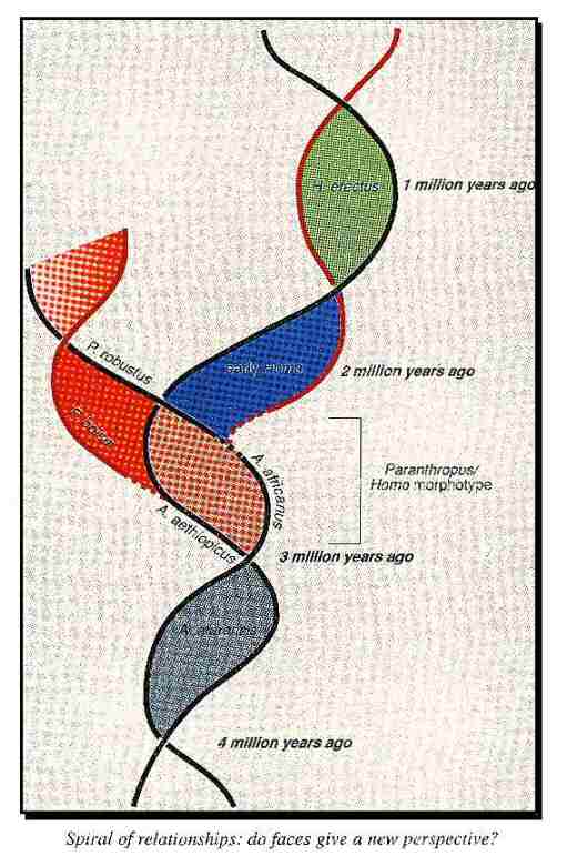 New Scientist. Science news and long reads from expert journalists, covering developments in science, technology, health and the environment on the website and the magazine.