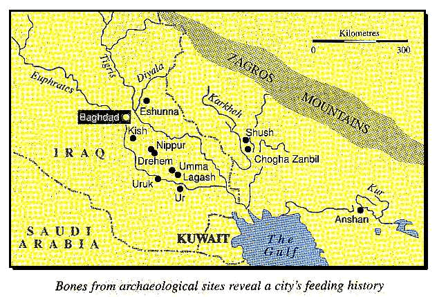 New Scientist. Science news and long reads from expert journalists, covering developments in science, technology, health and the environment on the website and the magazine.