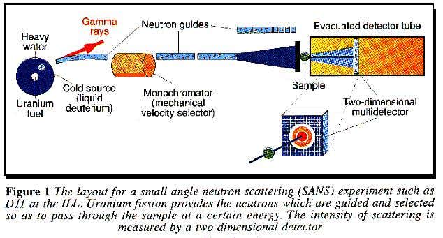 New Scientist. Science news and long reads from expert journalists, covering developments in science, technology, health and the environment on the website and the magazine.