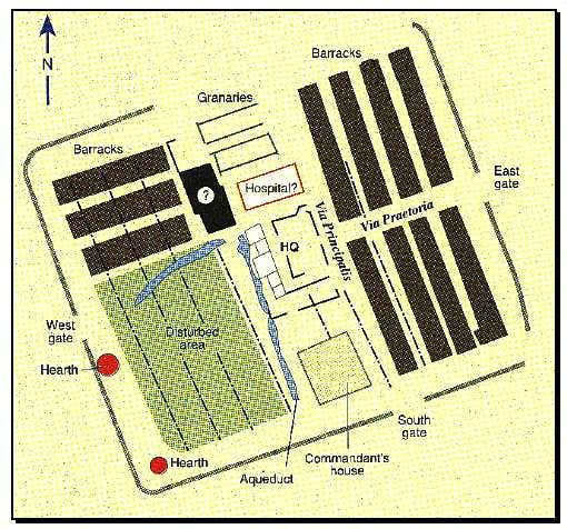 New Scientist. Science news and long reads from expert journalists, covering developments in science, technology, health and the environment on the website and the magazine.