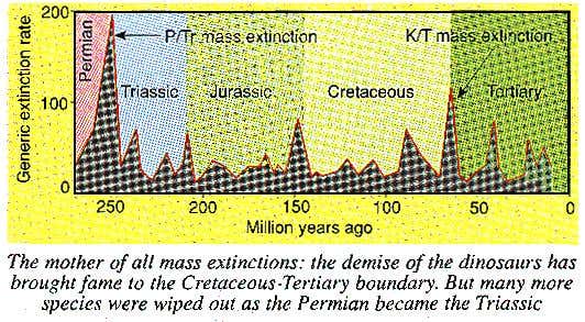 Cretaceous - Tertiary boundary