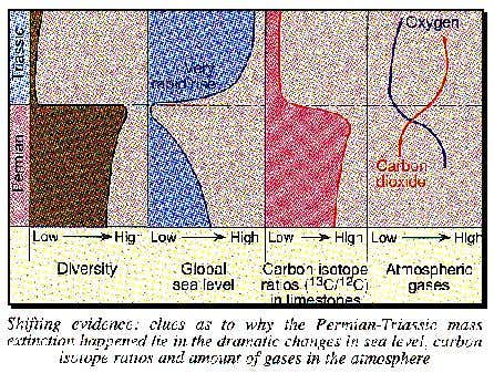 Permian-Triassic mass extinction