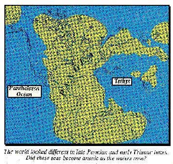 Late Permian, early Triassic world