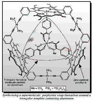 New Scientist. Science news and long reads from expert journalists, covering developments in science, technology, health and the environment on the website and the magazine.