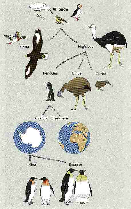 New Scientist. Science news and long reads from expert journalists, covering developments in science, technology, health and the environment on the website and the magazine.