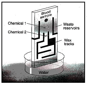 New Scientist. Science news and long reads from expert journalists, covering developments in science, technology, health and the environment on the website and the magazine.