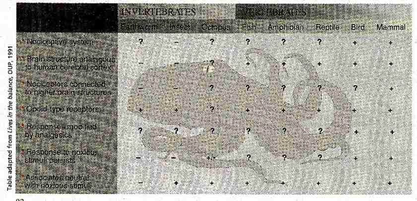 New Scientist. Science news and long reads from expert journalists, covering developments in science, technology, health and the environment on the website and the magazine.