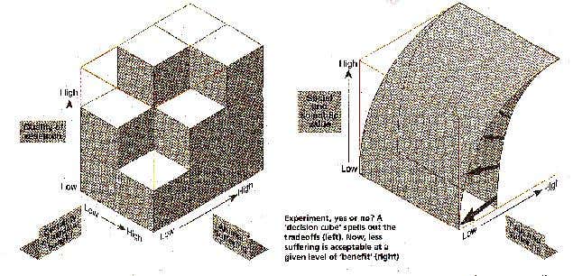Decision cube for animal suffering