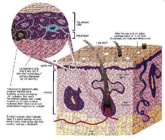 New Scientist. Science news and long reads from expert journalists, covering developments in science, technology, health and the environment on the website and the magazine.