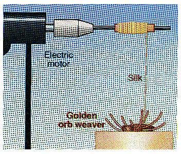 New Scientist. Science news and long reads from expert journalists, covering developments in science, technology, health and the environment on the website and the magazine.