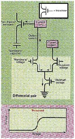 New Scientist. Science news and long reads from expert journalists, covering developments in science, technology, health and the environment on the website and the magazine.