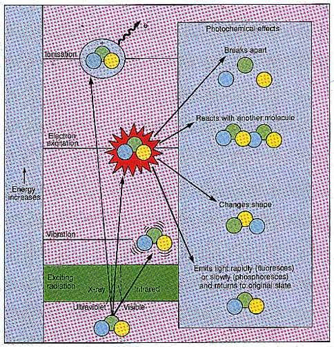 New Scientist. Science news and long reads from expert journalists, covering developments in science, technology, health and the environment on the website and the magazine.