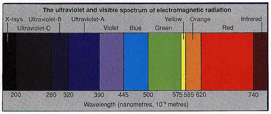 Electromagnetic radiation spectrum