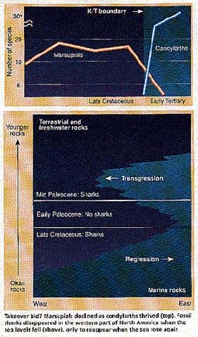 New Scientist. Science news and long reads from expert journalists, covering developments in science, technology, health and the environment on the website and the magazine.