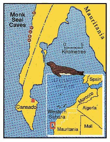 New Scientist. Science news and long reads from expert journalists, covering developments in science, technology, health and the environment on the website and the magazine.