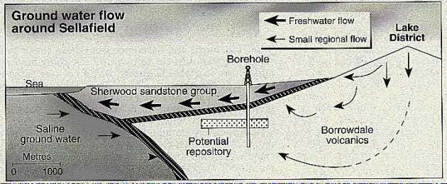 New Scientist. Science news and long reads from expert journalists, covering developments in science, technology, health and the environment on the website and the magazine.