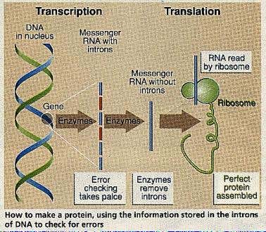 New Scientist. Science news and long reads from expert journalists, covering developments in science, technology, health and the environment on the website and the magazine.