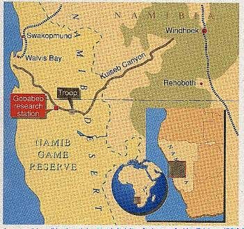 New Scientist. Science news and long reads from expert journalists, covering developments in science, technology, health and the environment on the website and the magazine.