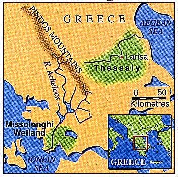 New Scientist. Science news and long reads from expert journalists, covering developments in science, technology, health and the environment on the website and the magazine.