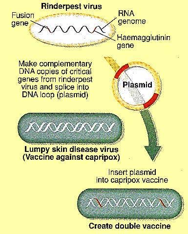 New Scientist. Science news and long reads from expert journalists, covering developments in science, technology, health and the environment on the website and the magazine.