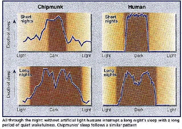 New Scientist. Science news and long reads from expert journalists, covering developments in science, technology, health and the environment on the website and the magazine.
