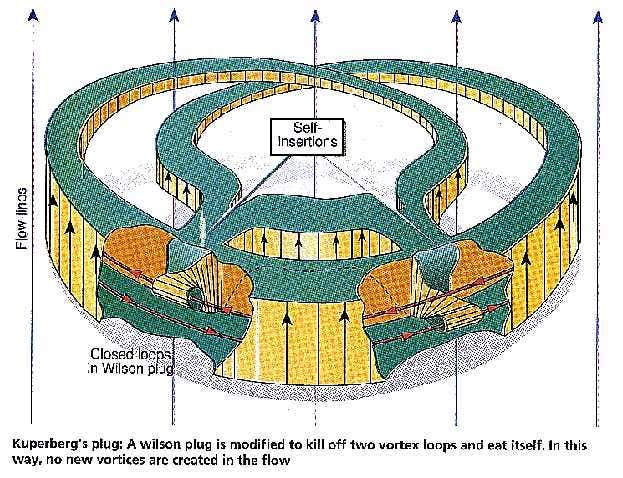 Action of a kuperberg's plug