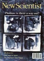 New Scientist issue 1904 cover