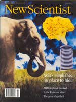 New Scientist issue 1908 cover