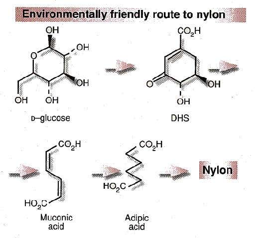 New Scientist. Science news and long reads from expert journalists, covering developments in science, technology, health and the environment on the website and the magazine.