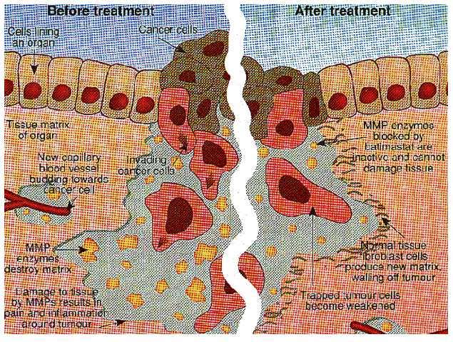 New Scientist. Science news and long reads from expert journalists, covering developments in science, technology, health and the environment on the website and the magazine.