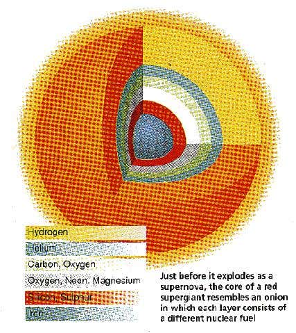 The curve of a red supergiant