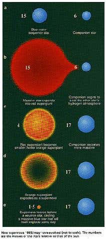 Evolution of the 1993J supernova