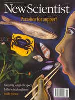 New Scientist issue 1917 cover