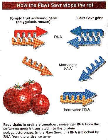 New Scientist. Science news and long reads from expert journalists, covering developments in science, technology, health and the environment on the website and the magazine.