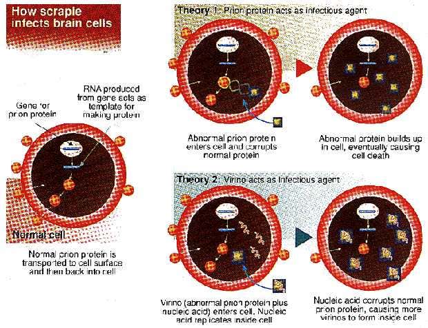 New Scientist. Science news and long reads from expert journalists, covering developments in science, technology, health and the environment on the website and the magazine.