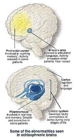 New Scientist. Science news and long reads from expert journalists, covering developments in science, technology, health and the environment on the website and the magazine.
