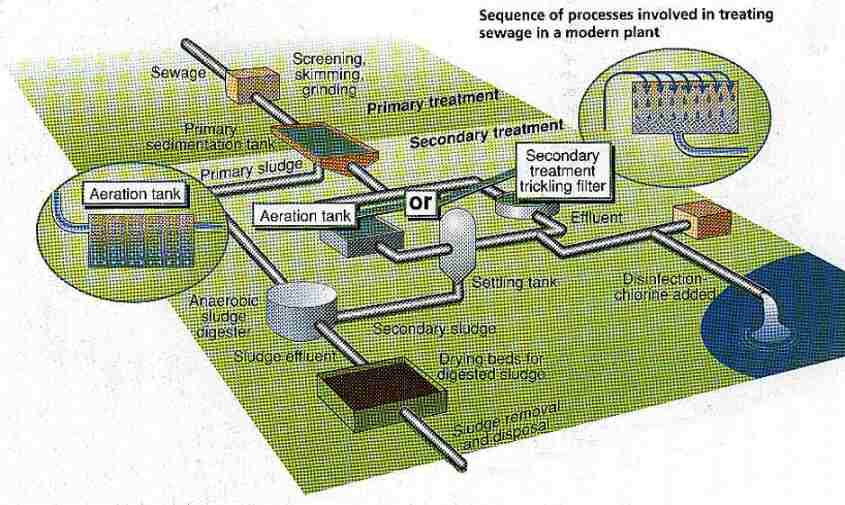 New Scientist. Science news and long reads from expert journalists, covering developments in science, technology, health and the environment on the website and the magazine.