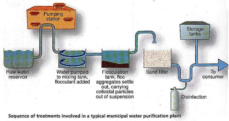 Treatments in a municipal water purification plant