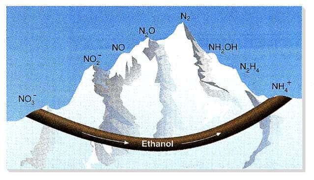 New Scientist. Science news and long reads from expert journalists, covering developments in science, technology, health and the environment on the website and the magazine.