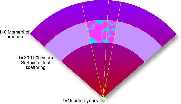 New Scientist. Science news and long reads from expert journalists, covering developments in science, technology, health and the environment on the website and the magazine.