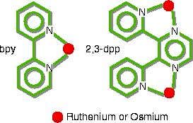 New Scientist. Science news and long reads from expert journalists, covering developments in science, technology, health and the environment on the website and the magazine.