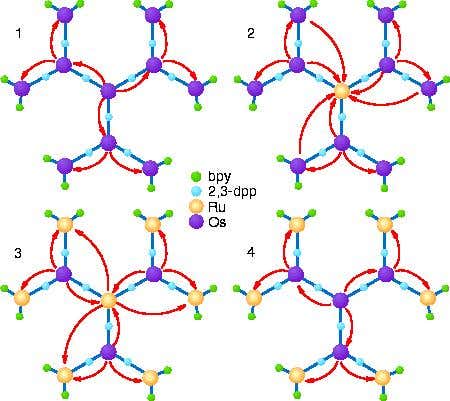 Four complexes made by varying building blocks
