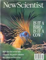 New Scientist issue 1951 cover