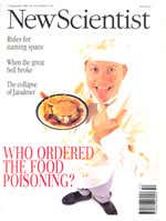 New Scientist issue 1956 cover