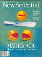 New Scientist issue 1960 cover