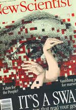 New Scientist issue 1962 cover