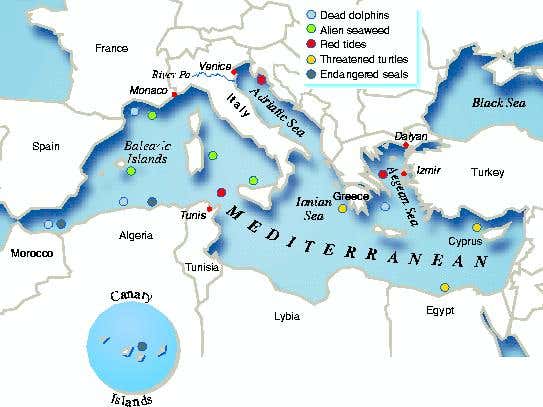 New Scientist. Science news and long reads from expert journalists, covering developments in science, technology, health and the environment on the website and the magazine.