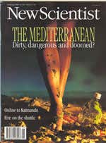 New Scientist issue 1963 cover